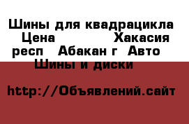 Шины для квадрацикла › Цена ­ 15 000 - Хакасия респ., Абакан г. Авто » Шины и диски   